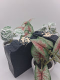 Activated Black Charcoal Soap